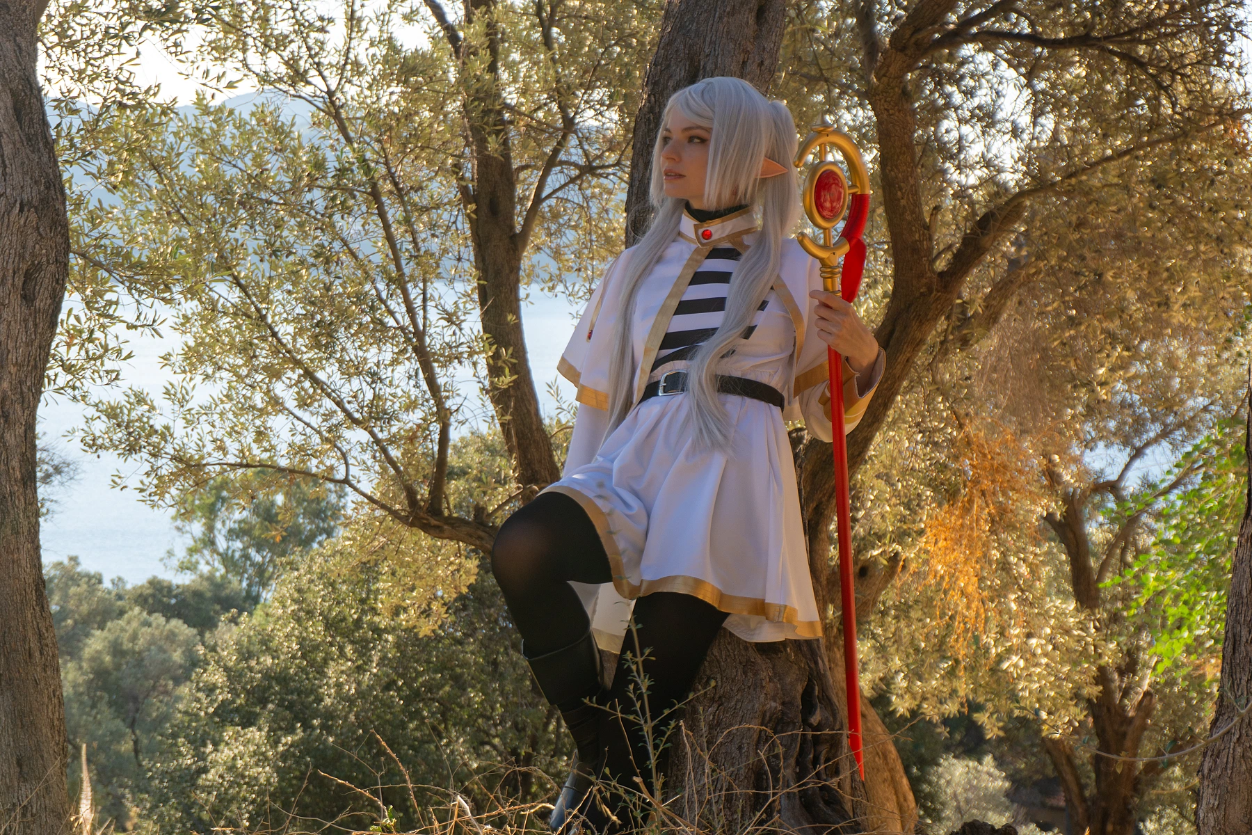 Frieren cosplay portrait olive grove silver hair elf ears white gold mage dress staff warm daylight Sousou no Frieren anime