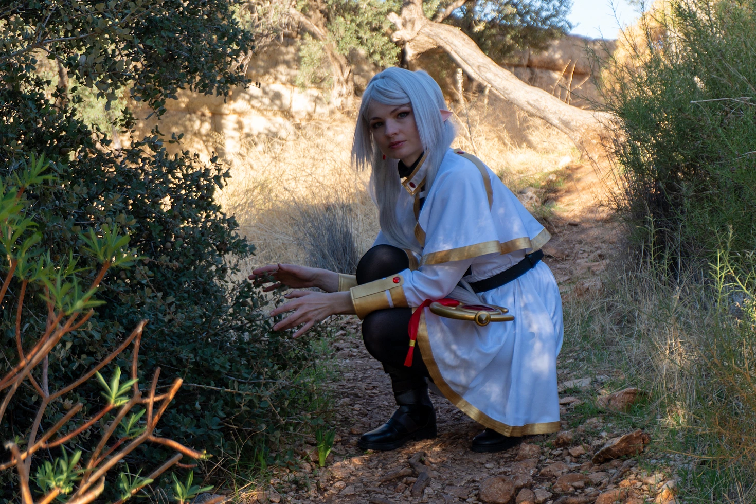 Frieren cosplay crouching near bushes on forest path silver hair elf ears white gold mage dress soft daylight greenery